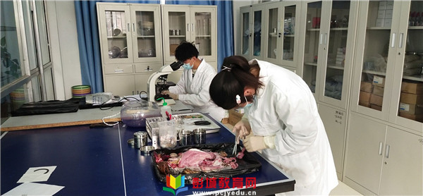 http://www.pcjyedu.cn/upload/2021-12-16/58b69352c550c99b495576f151935cb2.jpg