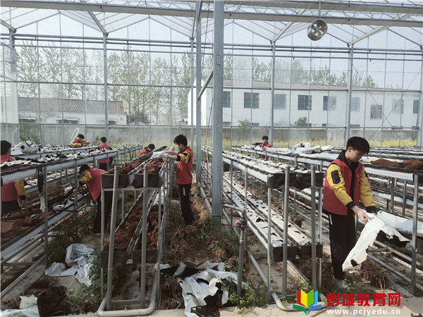 http://www.pcjyedu.cn/upload/2021-04-14/128402b6ed95cde4e0225ba5bc93827c.jpg