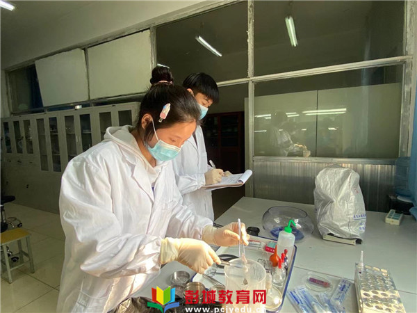 http://www.pcjyedu.cn/upload/2021-10-26/d6f80eba04d4cc510d6ec2bf7489cf9a.jpg