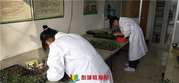 http://www.pcjyedu.cn/upload/2021-12-16/14c11e04f8aac12edcea176c680cdae1.jpg