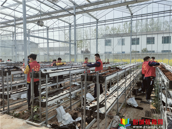 http://www.pcjyedu.cn/upload/2021-04-14/10d86592c0aaaf5a1478ab90a8a129fd.jpg
