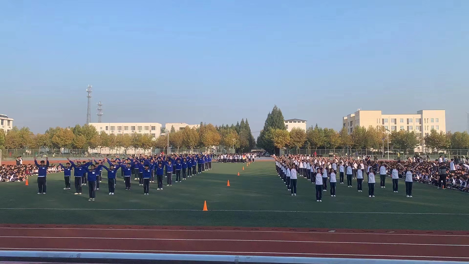图1.jpg 图1.jpg